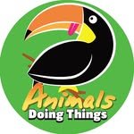 animalsdoingthings 프로필 사진