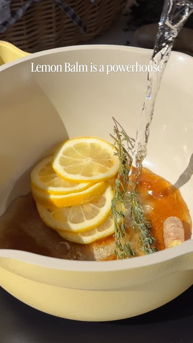 plantyou 게시물 이미지: Champagne but make it a functional mocktail...