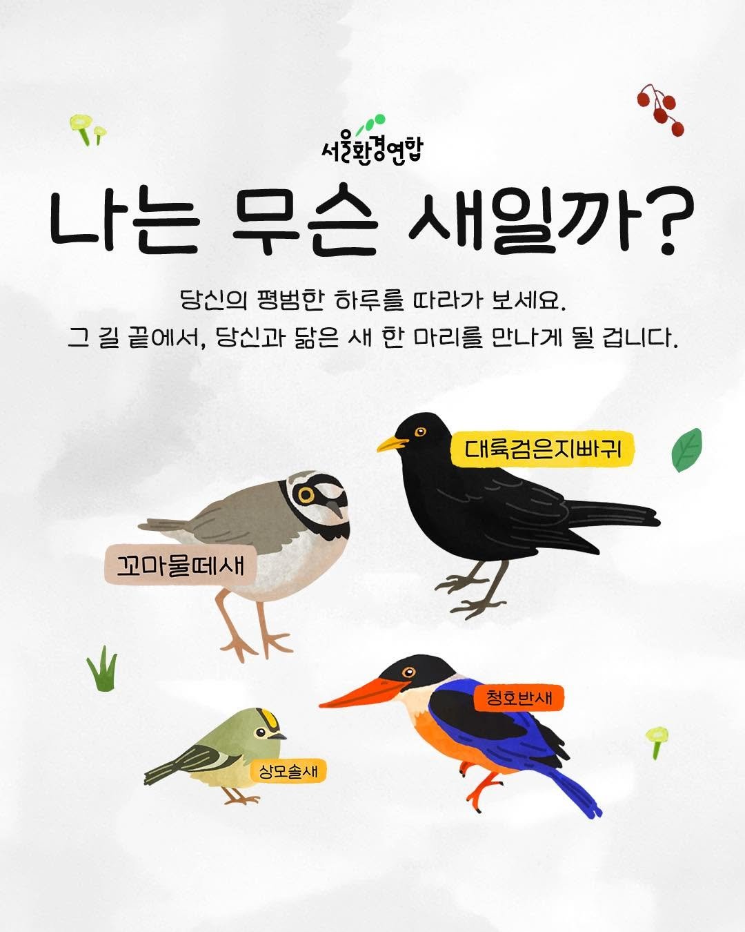 Photo shared by 플라스틱방앗간 on October 04, 2025 tagging @seoulkfem. May be an illustration of hornbill, meadowlark and text that says '서울화당연화 나는 무슨 새일까? 당신의 평범한 하루를 따라가 보세요 그 길 끝에서, 당신과 닮은 새 한 마리를 만나게 될 겁니다. 대륙검은지빠귀 꼬마물떼새 林 청호반새 상모솔새'.
