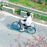 pledis_boos 인스타그램 프로필 사진