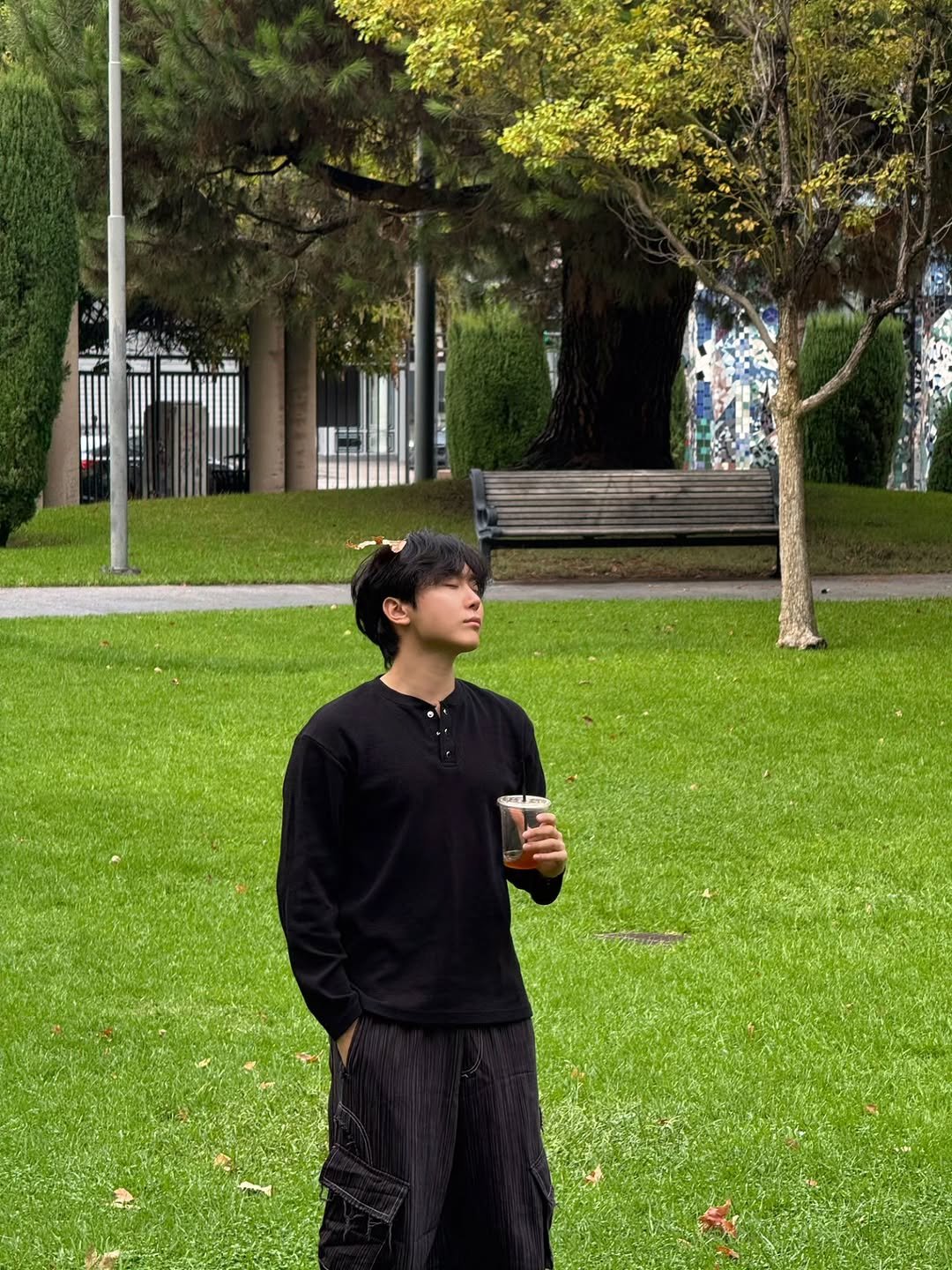 Photo by 승관 SEUNGKWAN on October 25, 2025. May be an image of cornflower, grass, park and text.