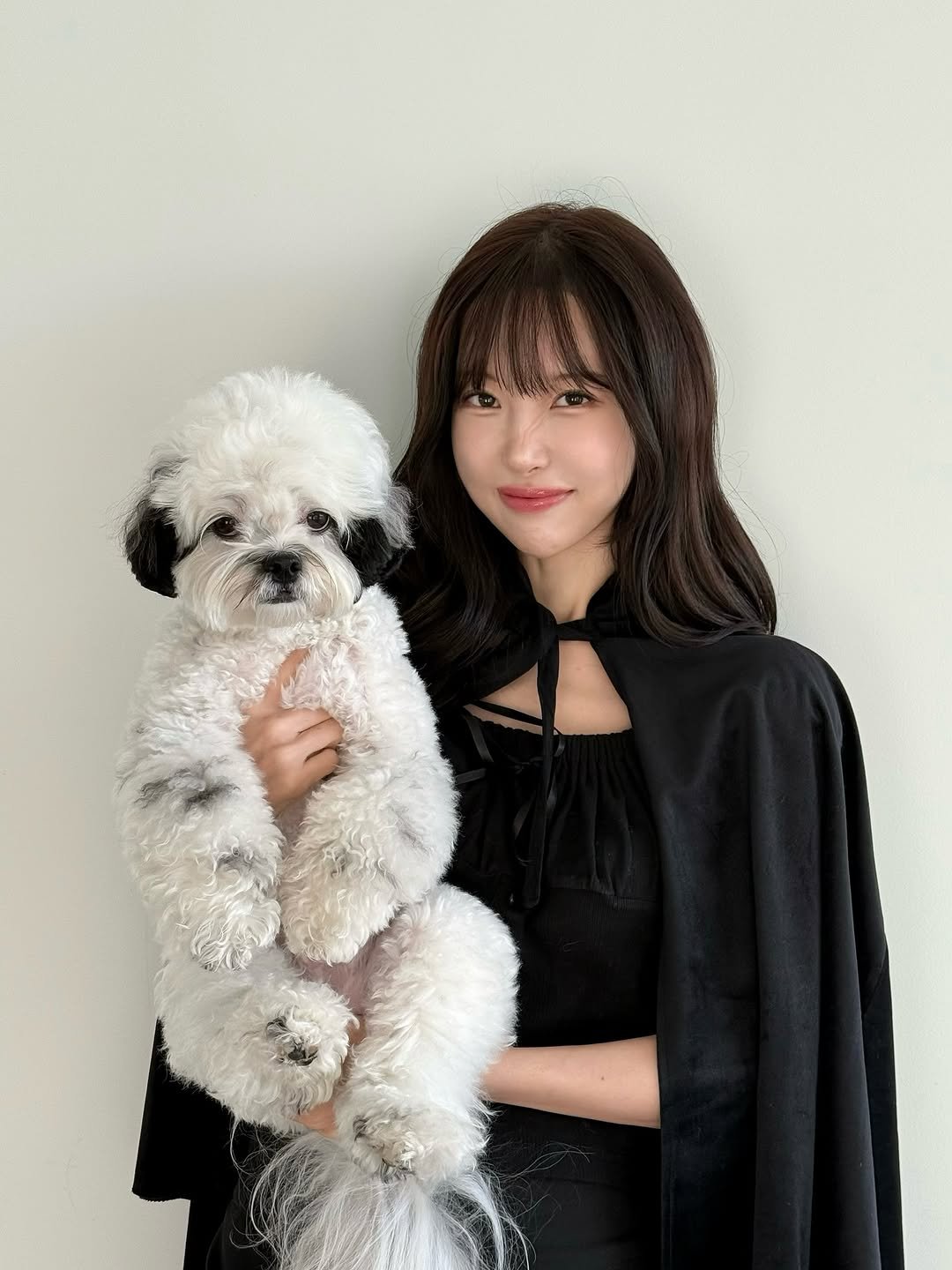 Photo shared by 포차코 on November 08, 2025 tagging @linaaadiary, and @noli._.official. May be an image of Pekinese and text.