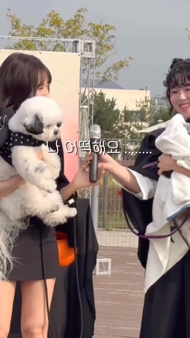 pochaacccoo 게시물 이미지: 놀이댕산 1일차 .. 나 너무 떨려요 .. 👀🔥

저번주 주말에 열렸던 놀이댕산이...