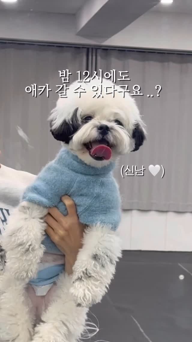 pochaacccoo 게시물 이미지: 밤 12시에도 갈 수 있는 애카가 있다고요 ..? ㄷㄷ

체력이 넘쳐서 흐르는...