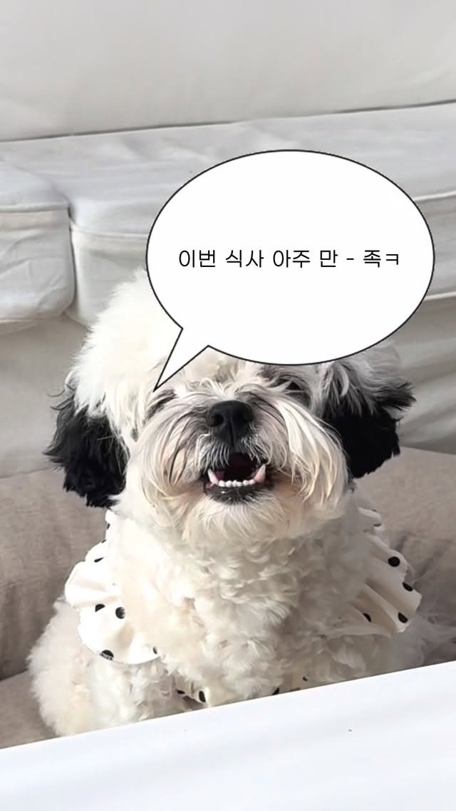 pochaacccoo 게시물 이미지: 더위에 집 나간 입맛도 돌아오게 하는 보양식 ㄷㄷ🐓🔥 #광고 

하 여러분 요즘...