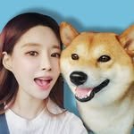 zudog_ezzi 프로필 사진