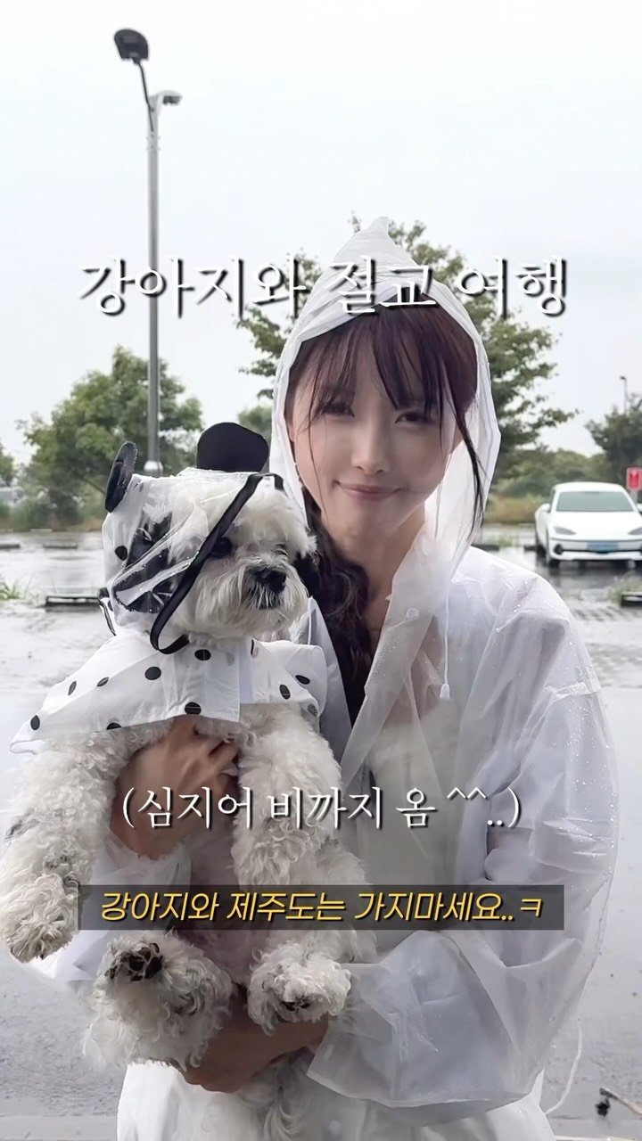 pochaacccoo 게시물 이미지: 강아지와 절교여행 제주도 2탄 ^^🔥
사람은 같은 실수를 반복하고ㅋ.... 
결말을...