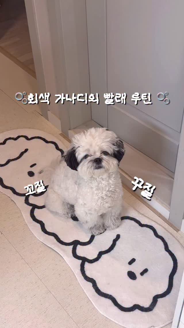 pochaacccoo 게시물 이미지: 회색 가나디의 빨래 루틴 🛁🫧 #광고 
🏷 @peppyrelief_official...