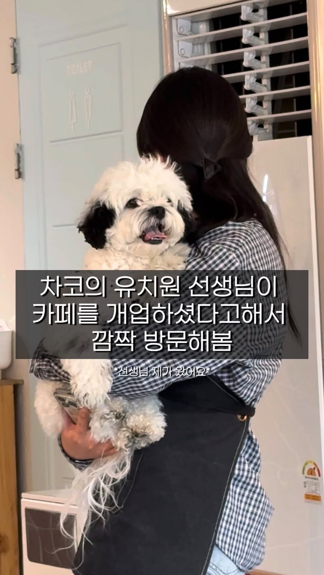 pochaacccoo 게시물 이미지: 선생님이 유치원에 없으셔서 제가 여기까지 쫒아왔어요 ~!!!

🏠...