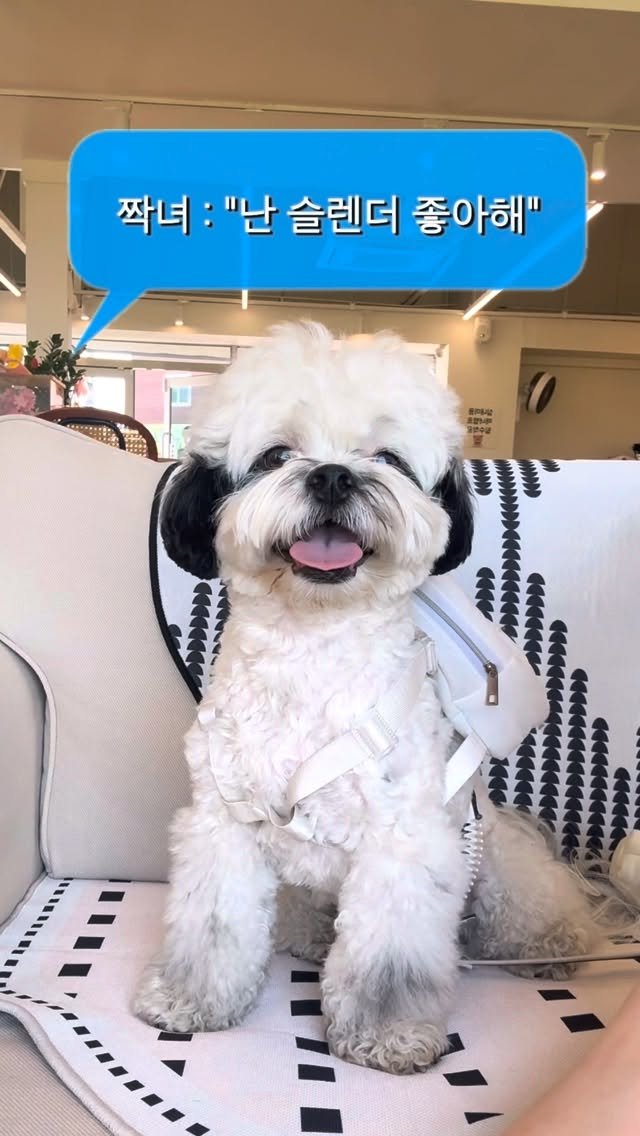 pochaacccoo 게시물 이미지: 위고비, 마운자로 저리가라하는 역대급 다이어트 효과 ;;...