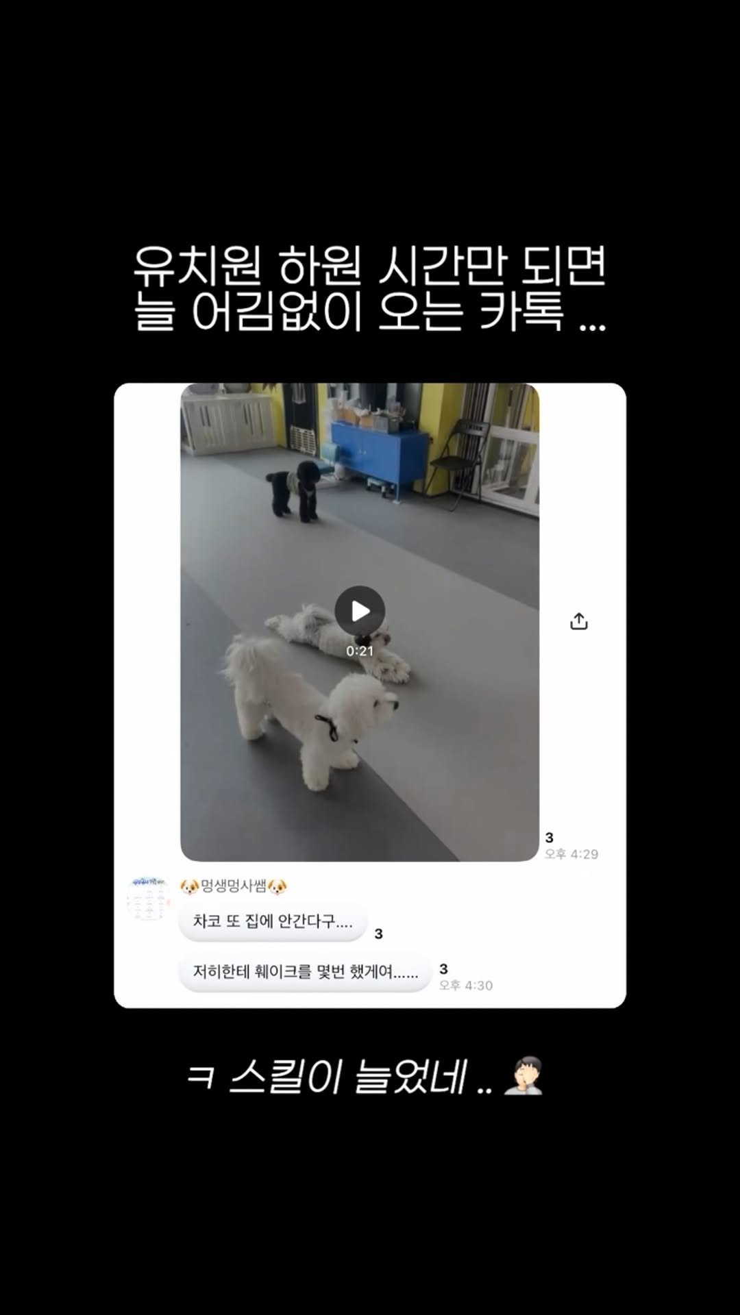 pochaacccoo 게시물 이미지: 집에 오면 일 시키는거 아닙니다......

#강아지유치원 #레전드 #금쪽이...