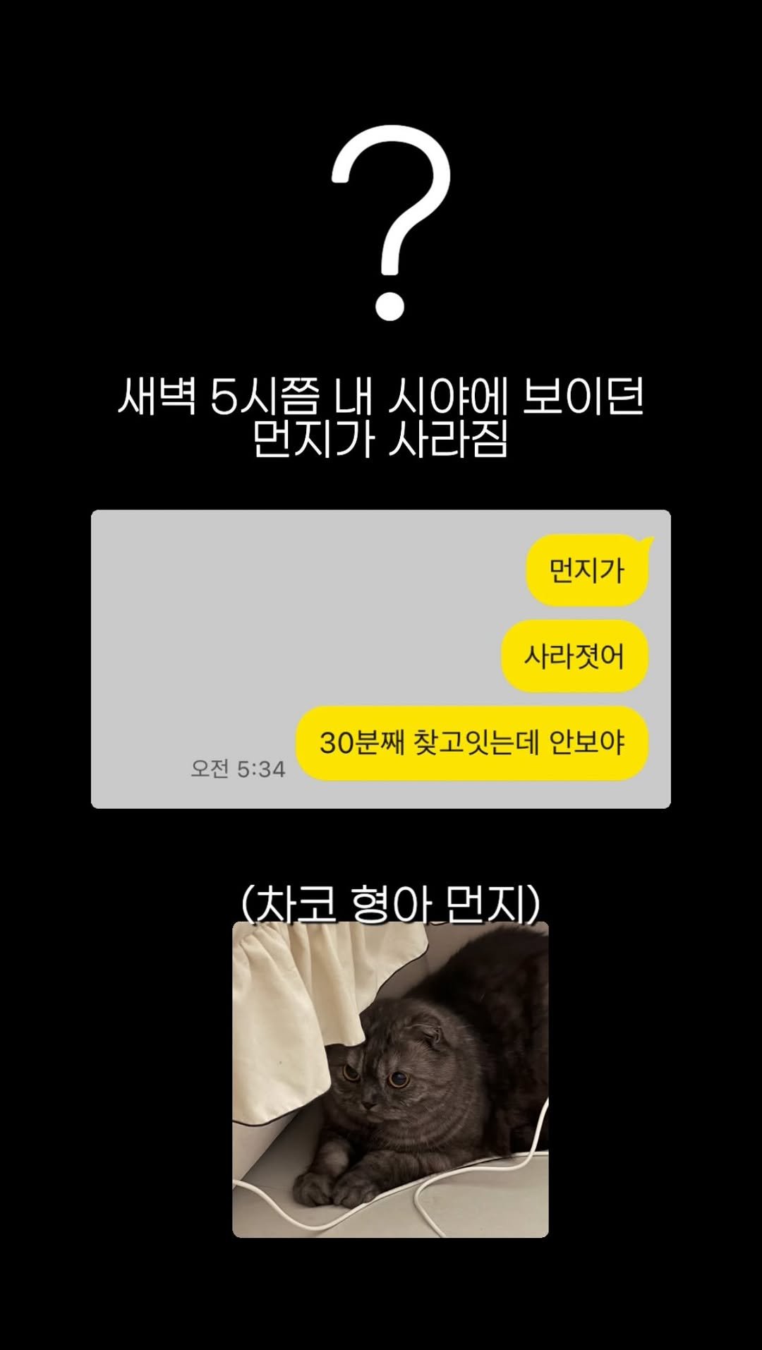 pochaacccoo 게시물 이미지: 하 .. 반나절만에 천국과 지옥을 오간 썰 .. 😭🔥🔥🔥

갑자기 집에 있는...