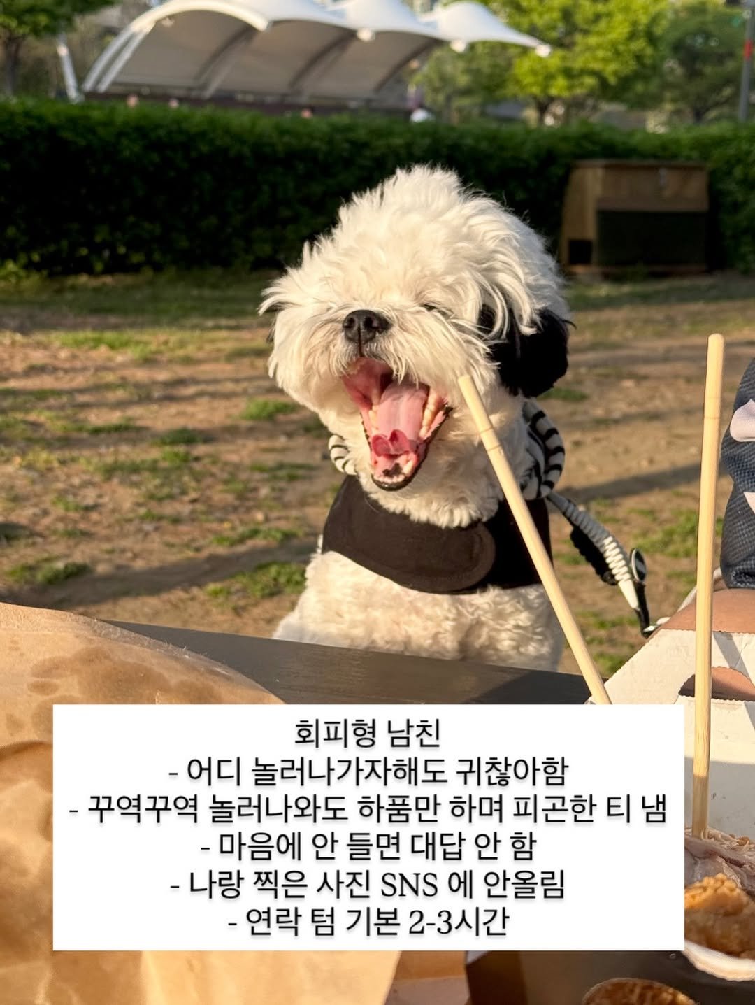 Photo by 포차코 on April 19, 2026. May be an image of Bedlington terrier, pie and text that says '회피형 남친 -어디 놀러나가자해도 귀찮아함 -꾸역꾸역 놀러나와도 하품만 하며 피곤한 Ε 티냄 냄 -마음에 안 들면 대답 안 함 -나랑 찍은 사진 SNS 에 안올림 -연락 텀 기본 -연락텀기본2-3시간 2-3시간'.