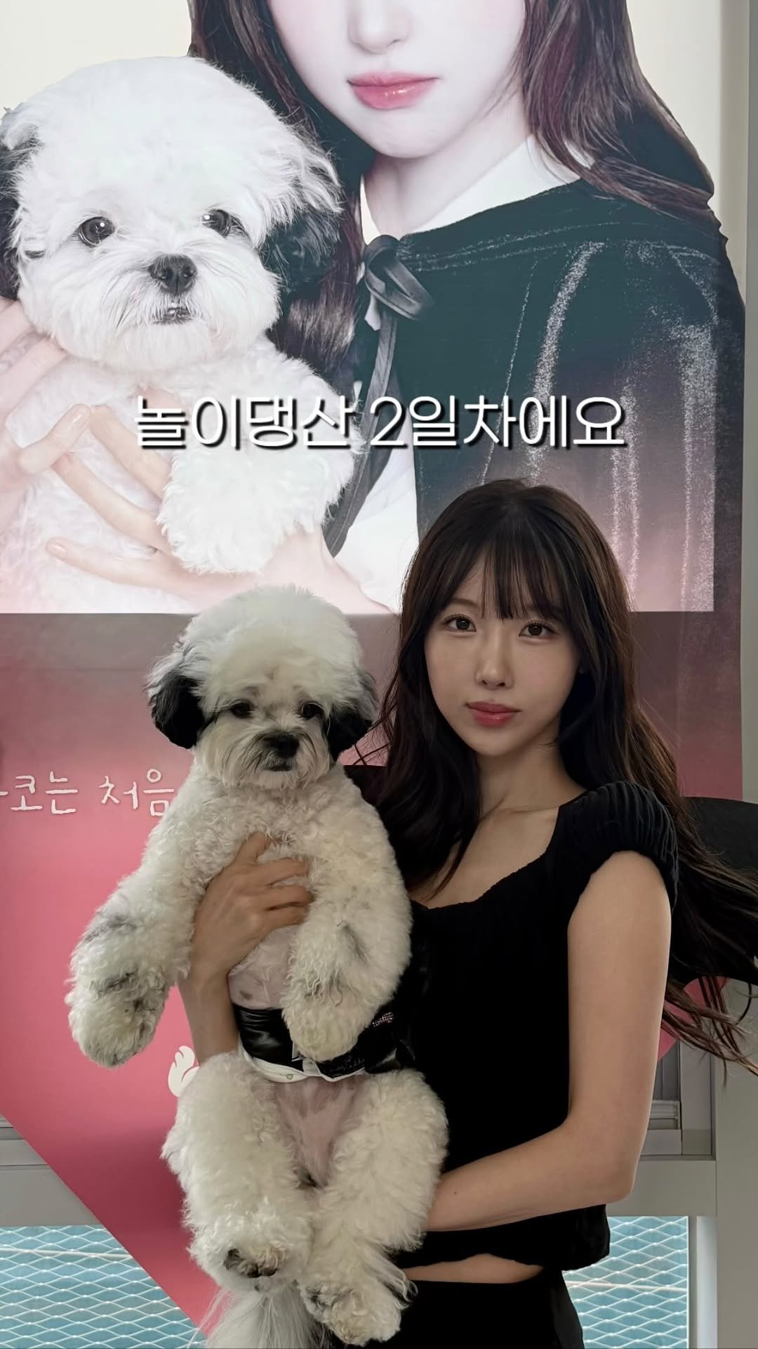 pochaacccoo 게시물 이미지: 유치원 원장님이 왜 여기에 .....?! 👀⁉️

나를 보러 유치원 선생님들이...