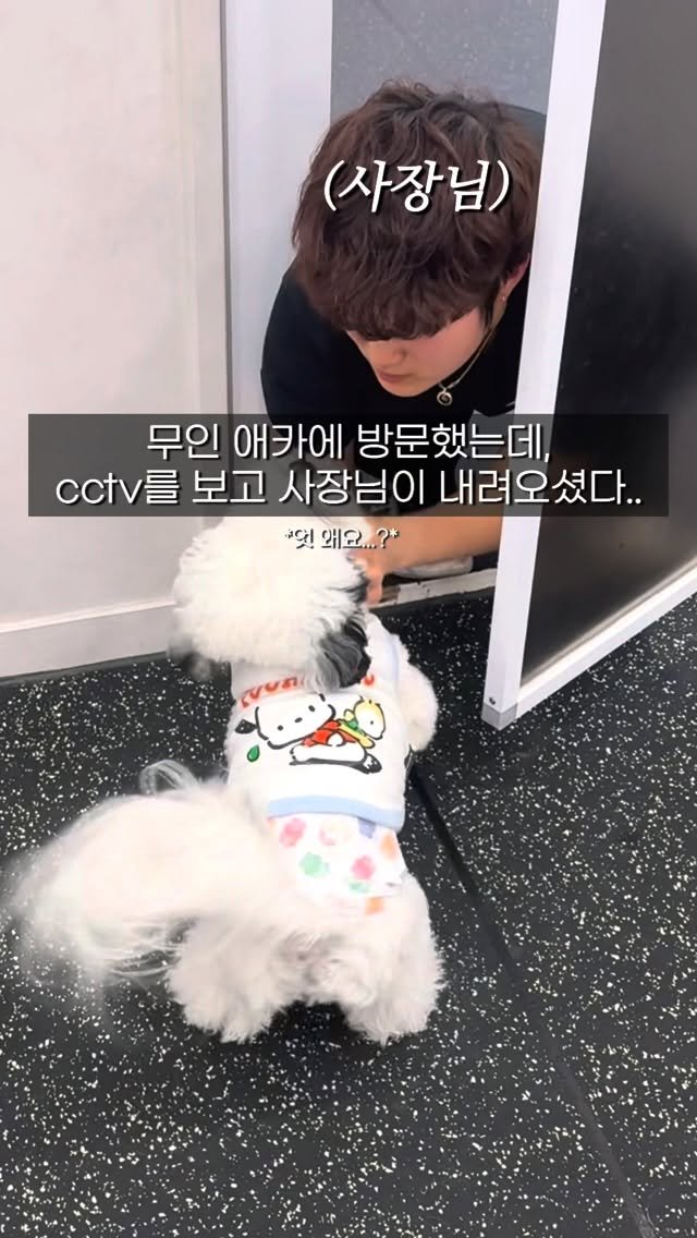pochaacccoo 게시물 이미지: 무인 24시 애카를 방문했는데 갑자기 사장님이 내려오셨다..? ㄷㄷ

🏡 위치는...