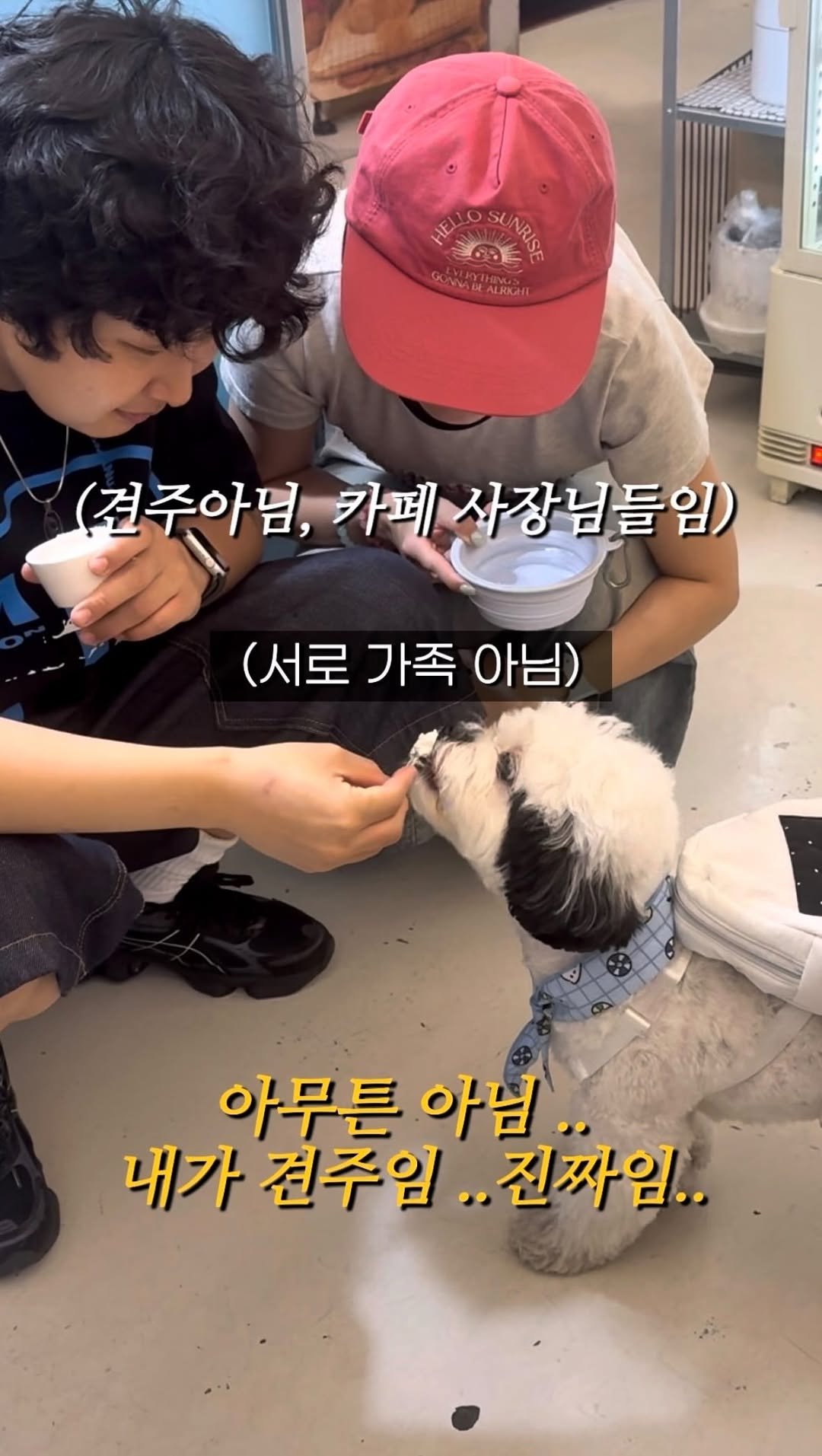 pochaacccoo 게시물 이미지: 저 분들은 그냥 카페 사장님들이고요.. 제가 견주에요....

#포차코 #강아지...