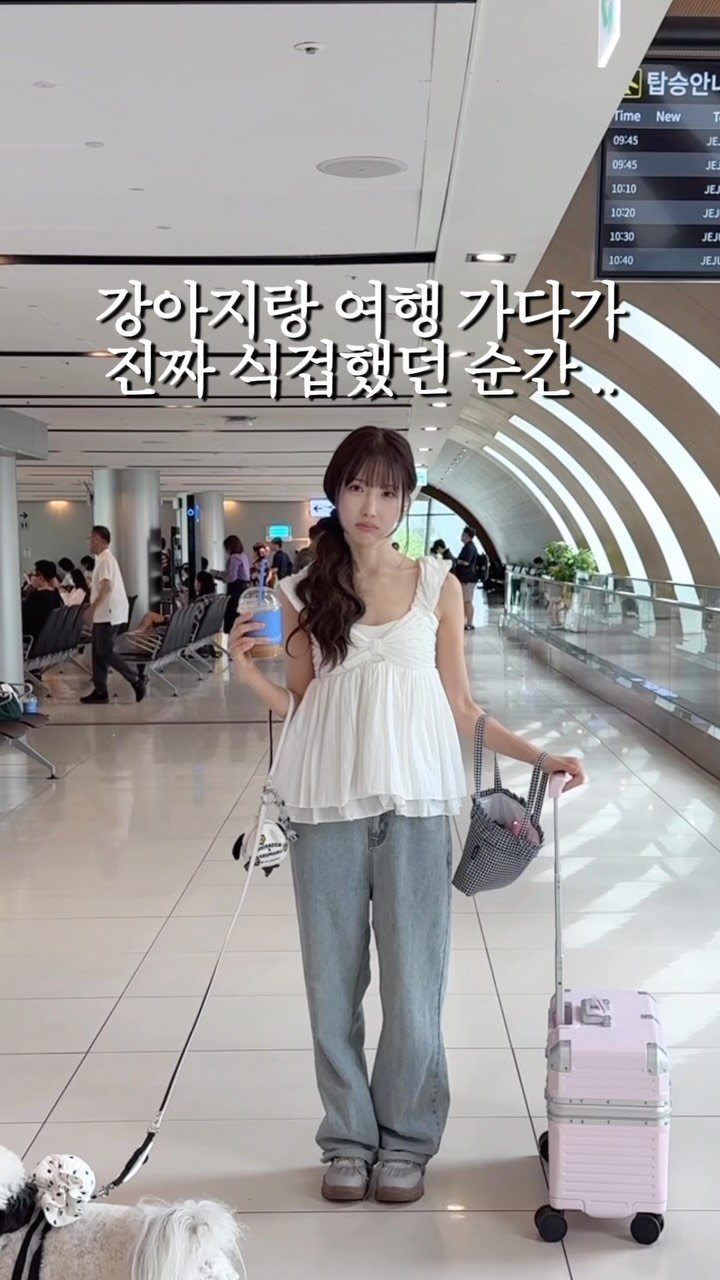 pochaacccoo 게시물 이미지: 차코랑 여행 가다가 진짜 식겁했던 순간; 🥵
강아지랑 여행 가면 손이 두 개로는...