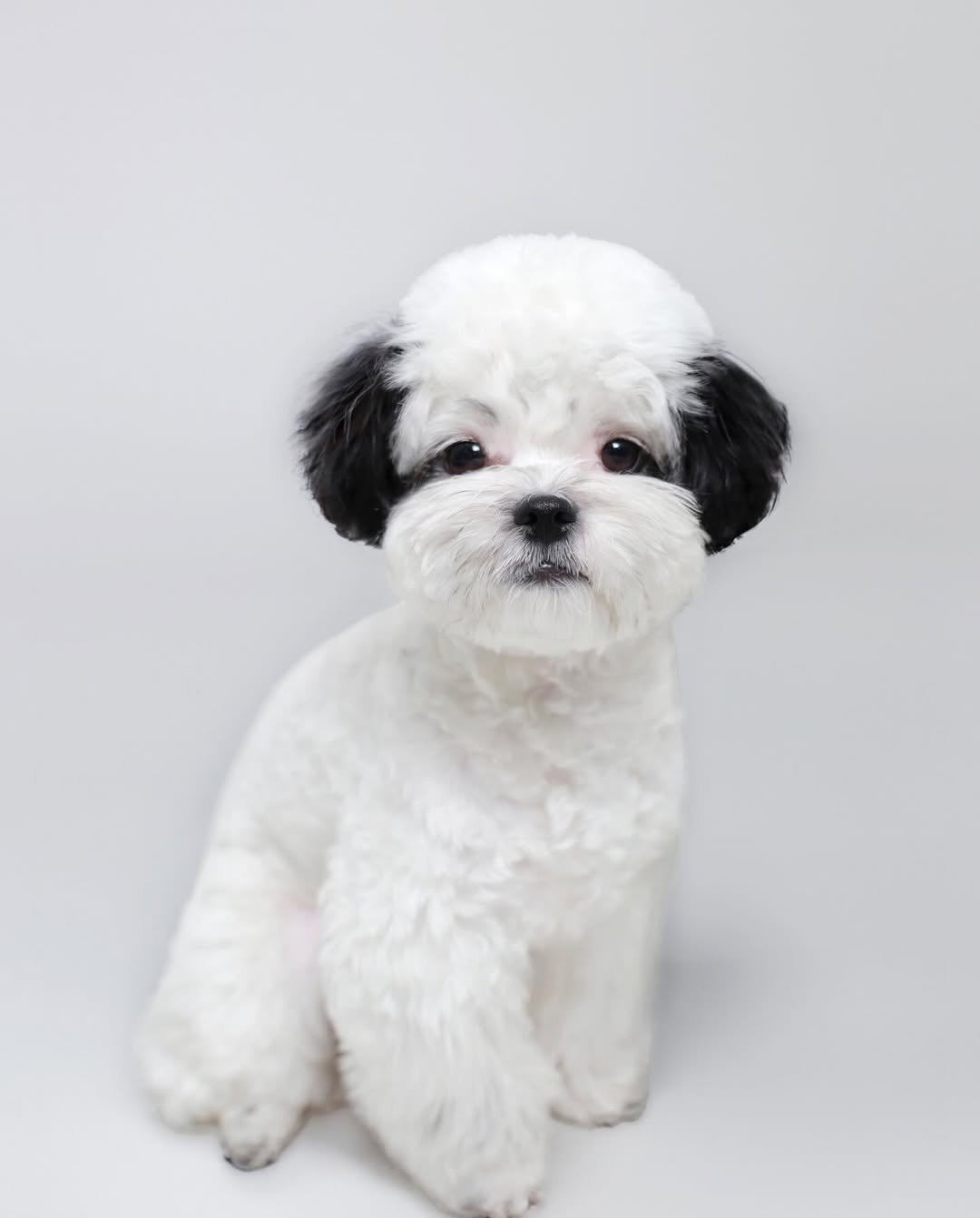 Photo shared by 포차코 on February 22, 2024 tagging @oldmoon_studio_, and @oldmoonstudio_ce.