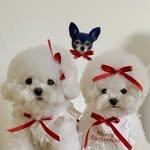kushi__ro 프로필 사진