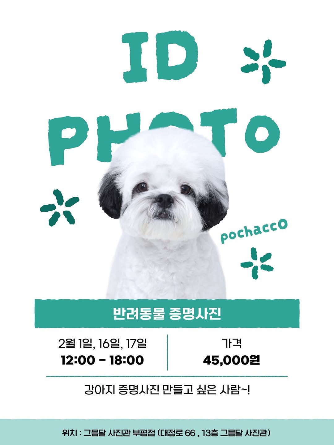 Photo shared by 포차코 on January 25, 2026 tagging @oldmoon_studio_. May be an image of cocker spaniel, Pekinese, poster and text that says 'ID PH PyCTO c 반려동물 증명사진 2월 2월1일.1 1일, 16일, 17일 12：00- 12:00-18:00 18:00 가격 가격 45,000원 강아지 증명사진 만들고 싶은 사람~! 위치 그름달 사진관 부평점 (대정로 66, 13층 그름달 사진관)'.