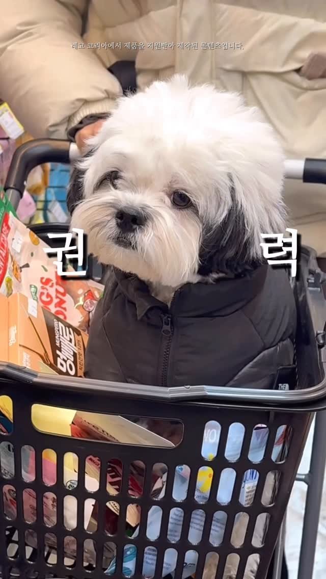 pochaacccoo 게시물 이미지: #광고 반려인들을 위한 레고가 출시됬다고?...