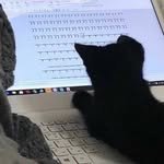 imnotyappi 프로필 사진