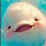 h._.hhhh._.h 프로필 사진