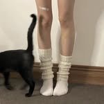 ancotor._codi 프로필 사진