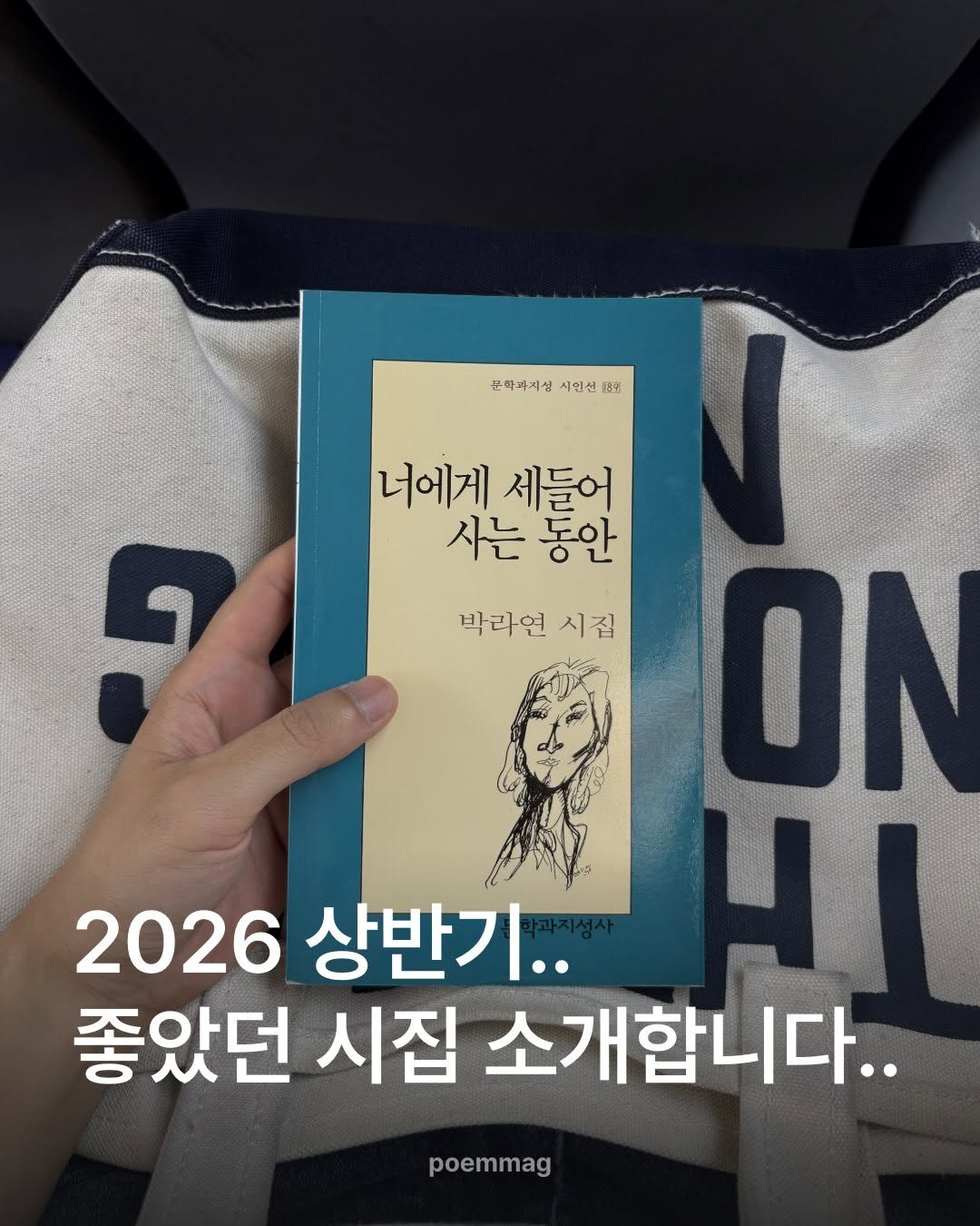 poemmag 게시물 이미지: (대충 한해가 절반 가린 짤...)시집 결산임다...

외에도 더 좋은 시집들도...