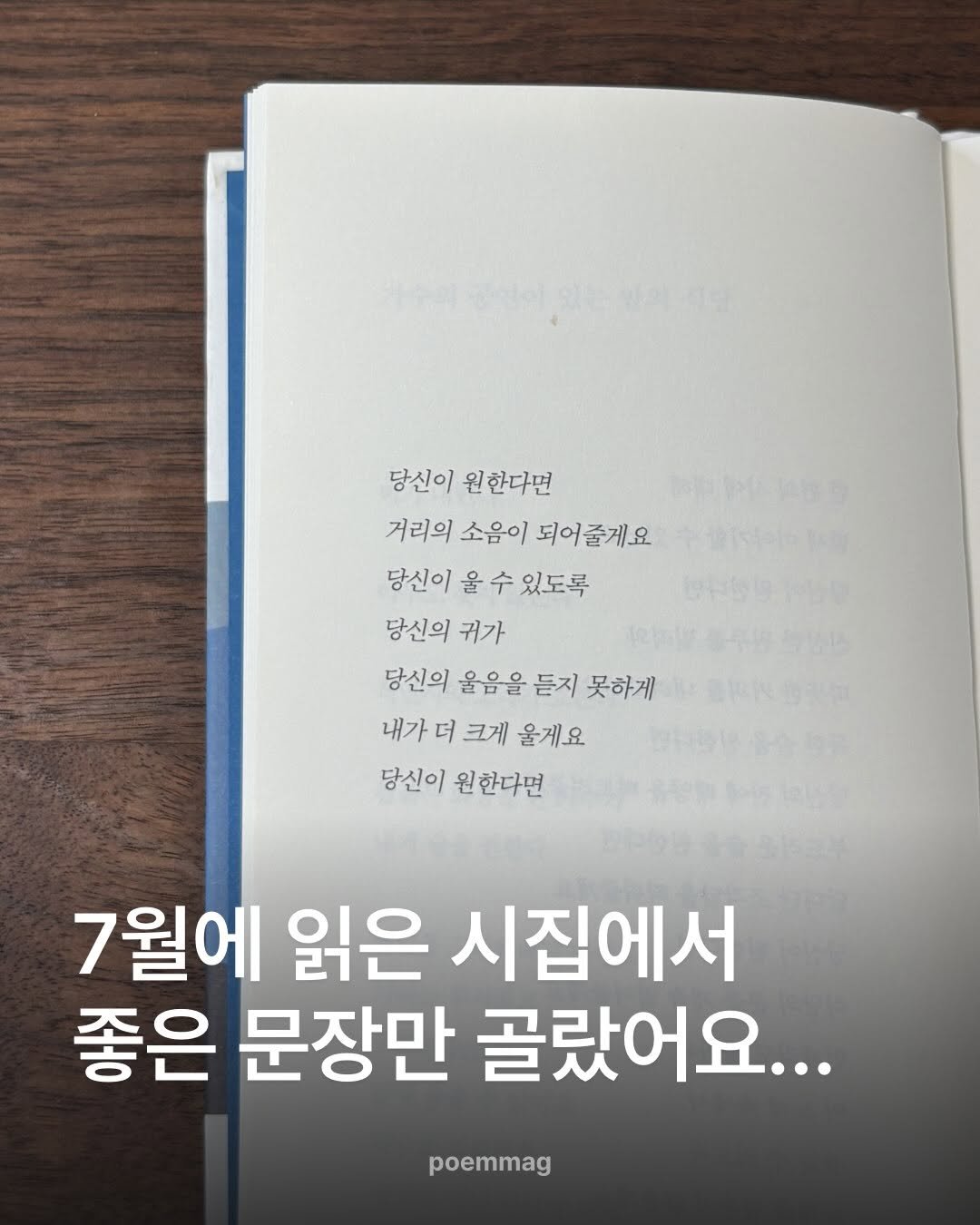 poemmag 게시물 이미지: 7월은 시의 계절•••(내 마음) 

세상엔 좋은 시가 너무 많아...
그래서 행복해...