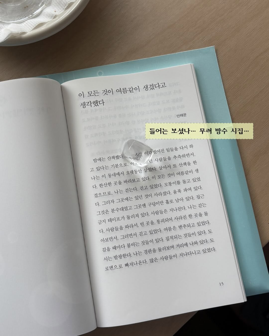 poemmag 게시물 이미지: 우오ㅏ....워터푸르프 시집이라니..... 💦🛡️

민음사에서 나온 <푸른 물속의...