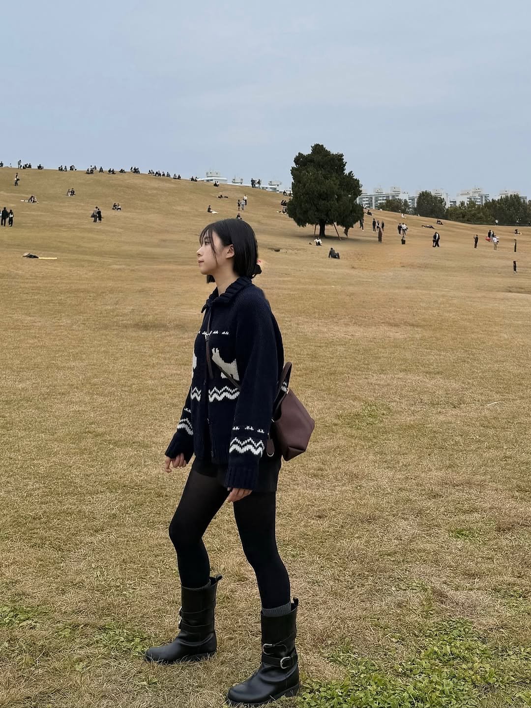 Photo by 푸랴 on November 14, 2025. May be an image of sheep, grass, park and text.