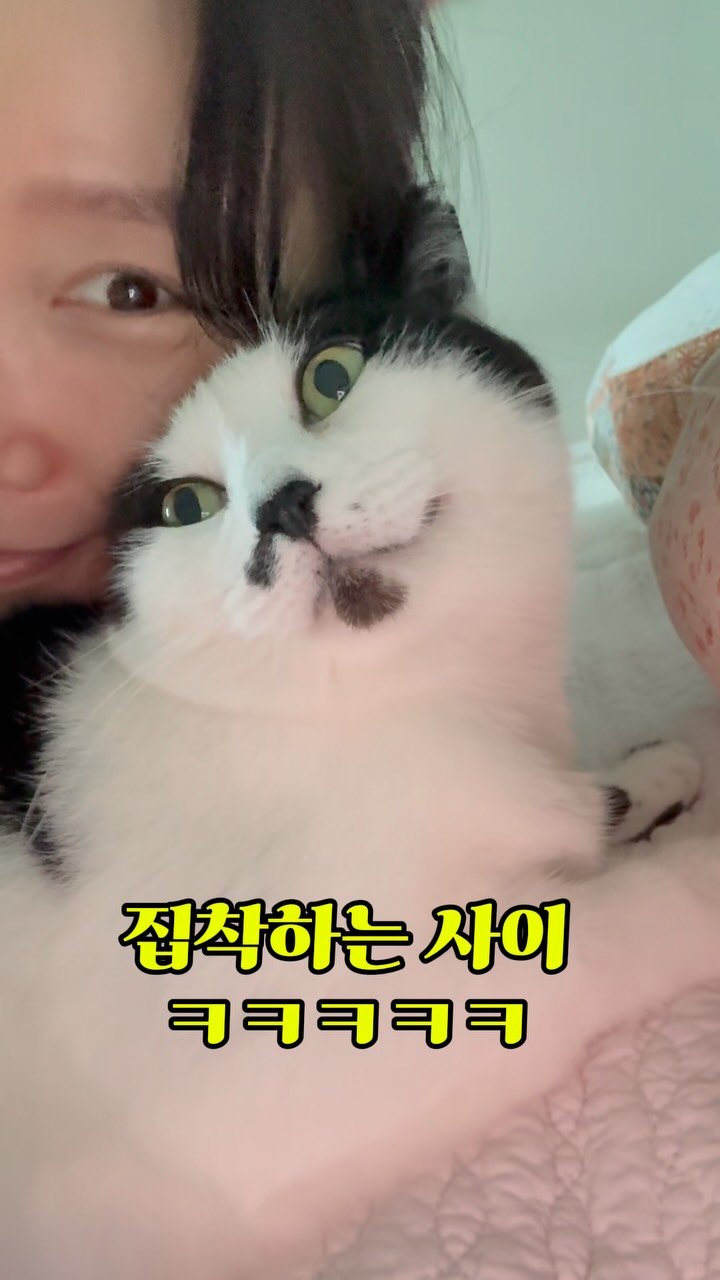 pooky_mam 게시물 이미지: #사랑애옹❤️ #애옹이