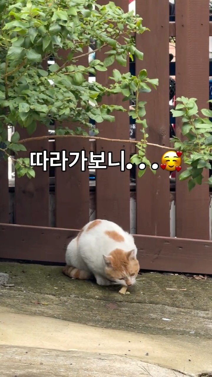 pooky_mam 게시물 이미지: #미돌이
