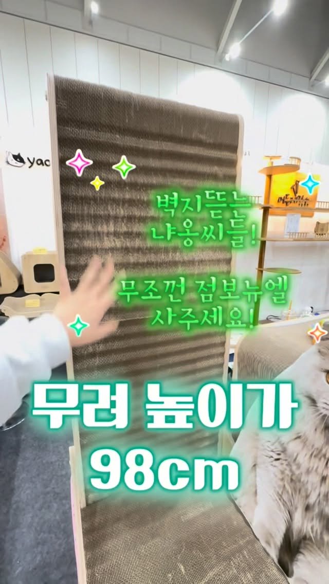 pooky_mam 게시물 이미지: @yaomi_official 

제가 이번공구에 정신이 사나워서 ㅋㅋㅋ
공구홍보를...