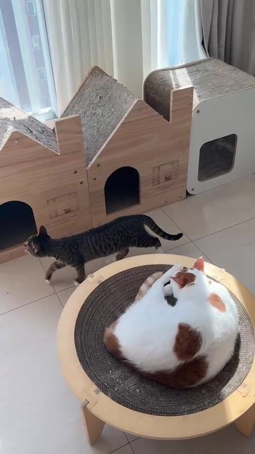 pooky_mam 게시물 이미지: ☘️오늘밤 8시 스타디움스크레쳐 초대형 오픈합니다☘️한정수량

아 그리고 제가...