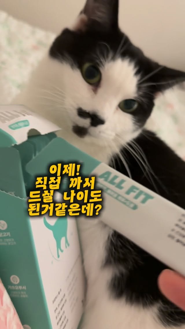 pooky_mam 게시물 이미지: #옹스타 #애옹