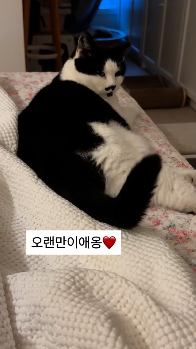 pooky_mam 게시물 이미지: 