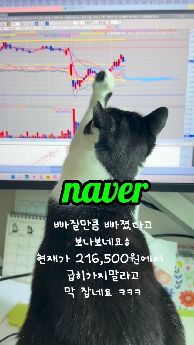 pooky_mam 게시물 이미지: 오니기리발로 야무지게 찍어주시는
#주식옹선생 ㅋㅋㅋ
