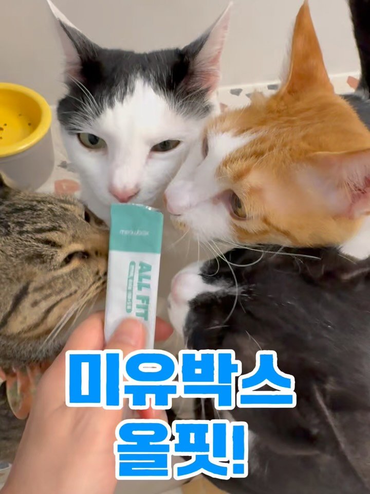 pooky_mam 게시물 이미지: @meow.box.official 

저는 성격이
제품제공받아도 별로면 별로라고...