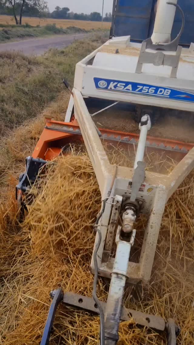 pooniakrishifarm 게시물 이미지: 🔥No Caption🔥 @Pooniakrishifarm #Shorts