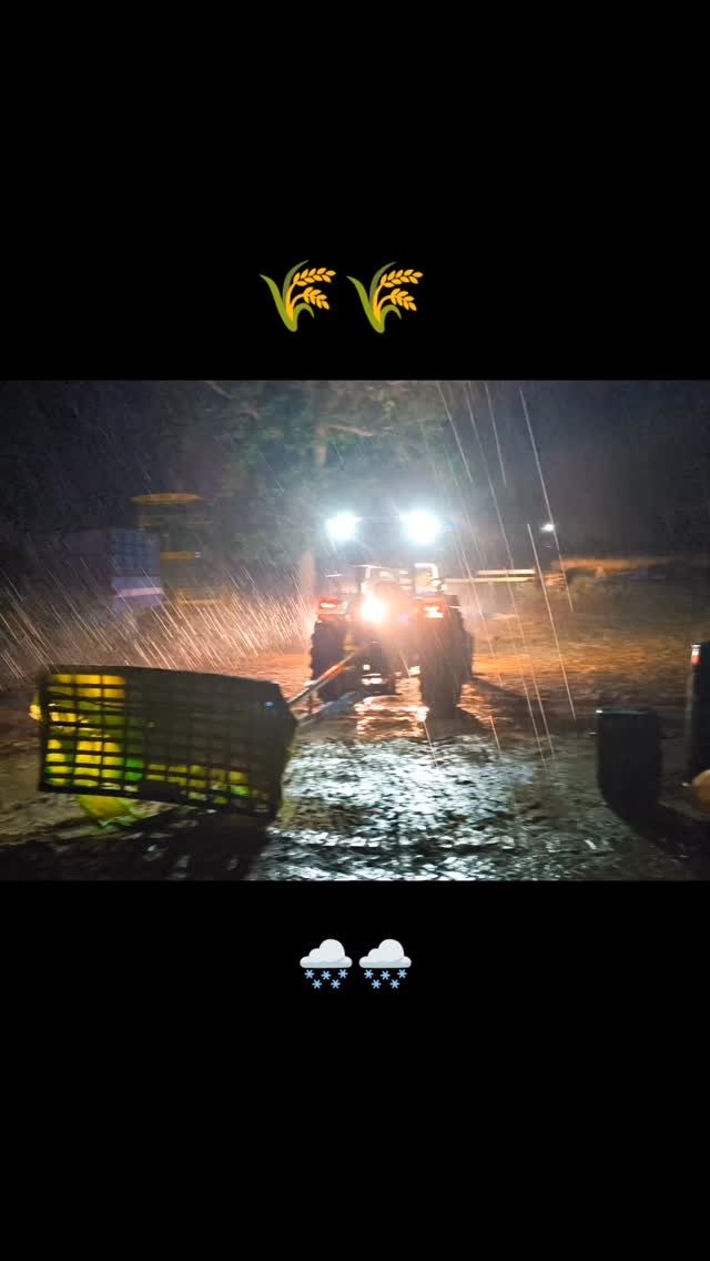 pooniakrishifarm 게시물 이미지: ‎⁨@pooniakrishifarm⁩  #shorts