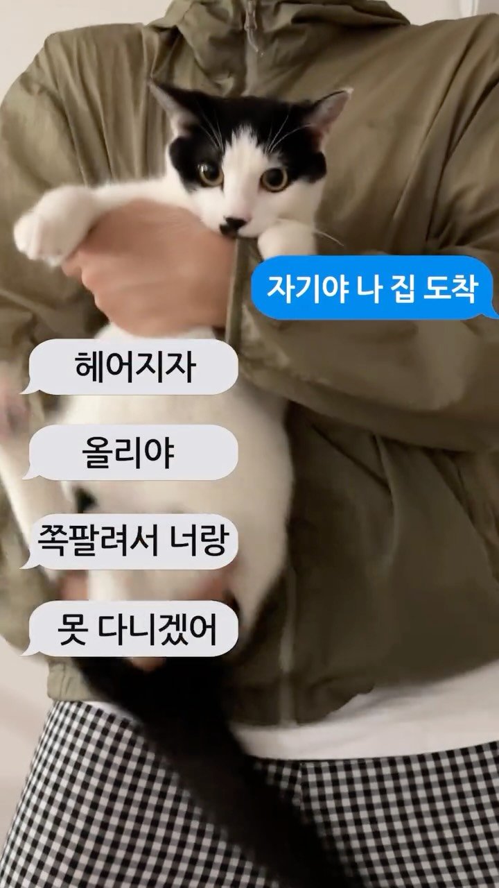 poopcat_olly 게시물 이미지: 골반이 안 멈추는데 어떡해... #골반이안멈추는병 

@ponggwi