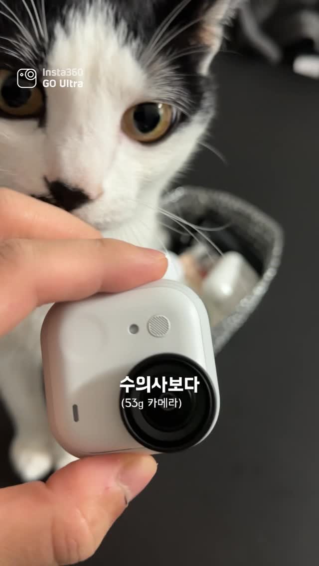 poopcat_olly 게시물 이미지: 집에서 셀프로 고양이 건강 체크하는 법
.
영상을 매일 찍지만 항상 부족했던 뭔가가...
