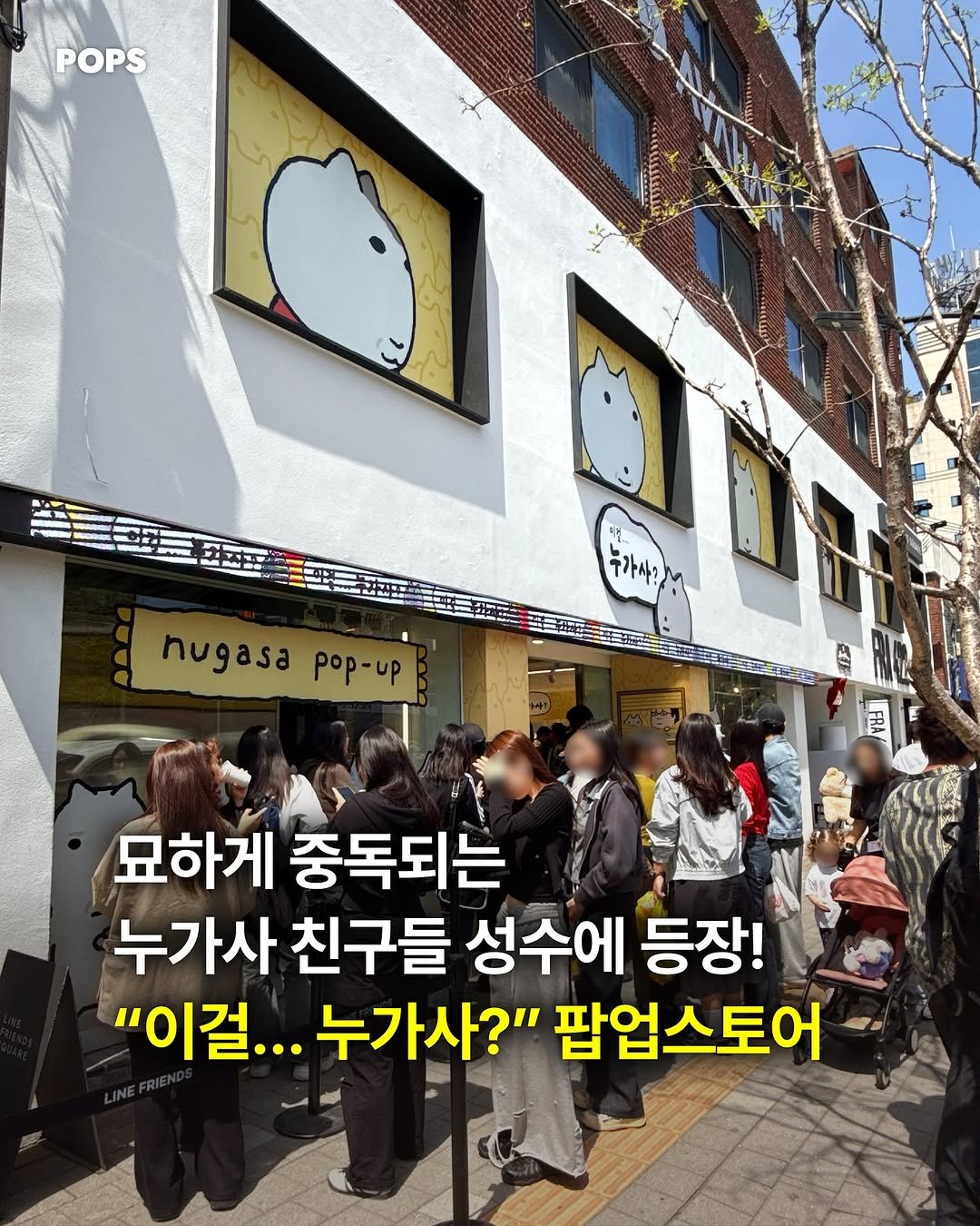 pops.official_ 게시물 이미지: 이걸… 누가사? (바로 내가 삼..;;)

머시깽이부터 작은 회색 고양이, 빈티지...