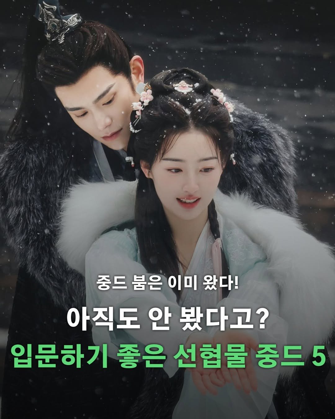 Photo by 포르체 on December 19, 2025. May be an image of text that says '중드 붐은 종드분은 이미 왔다! 아직도 안 봤다고? 입문하기 좋은 선협물 중드5 5'.