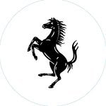 ferrariapac 프로필 사진