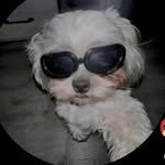 gabriel_apx_reserva 프로필 사진