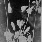 heoshingu 프로필 사진