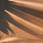 jiyongkim_ 프로필 사진